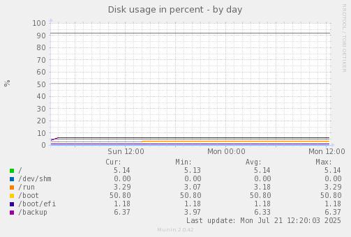 Disk usage in percent