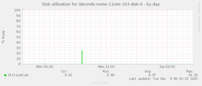 Disk utilization for /dev/vds-nvme-11/vm-163-disk-0